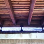 Arbor Ceiling B
