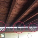 Arbor Ceiling F