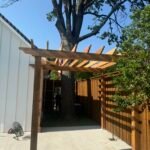 Arbor Y